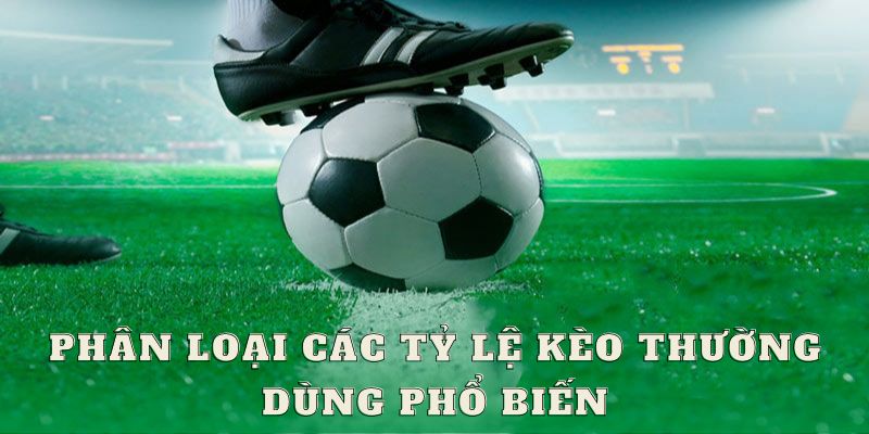 Phân loại các tỷ lệ kèo thường dùng phổ biến